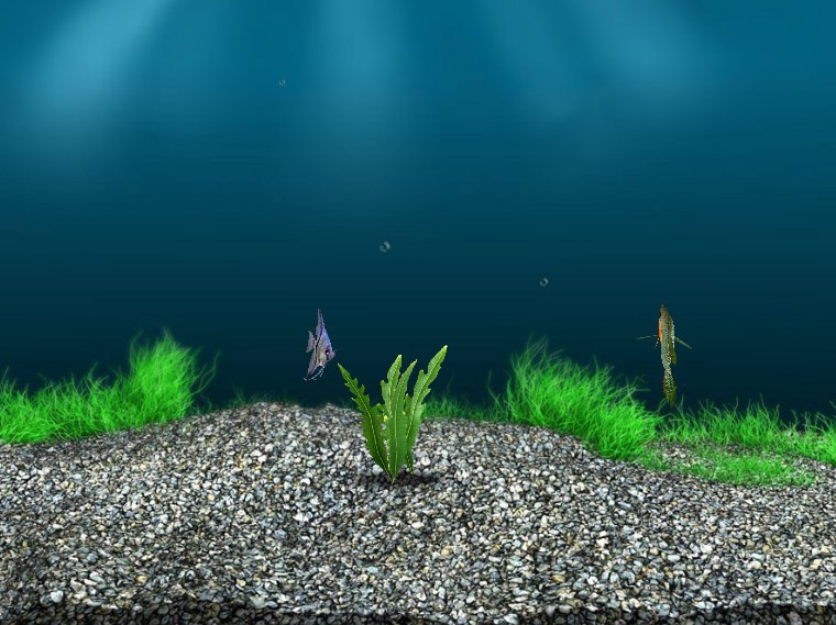 Ирина Иванова | 