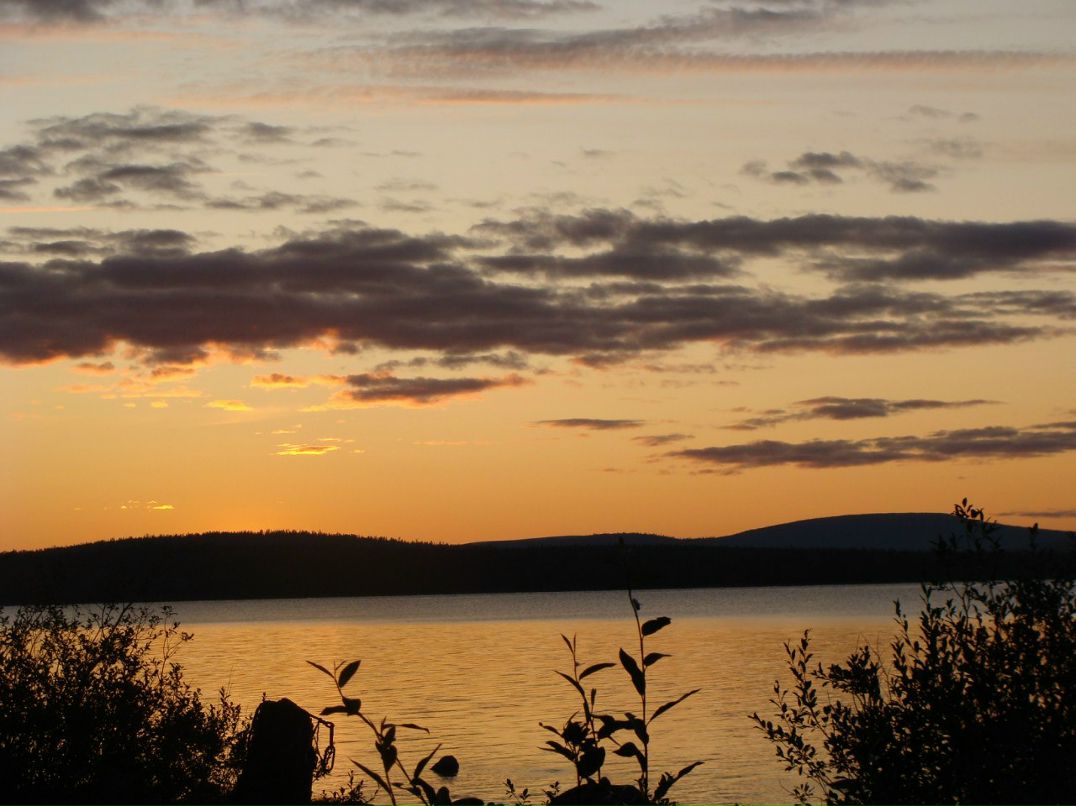 Екатерина Захлевных | 