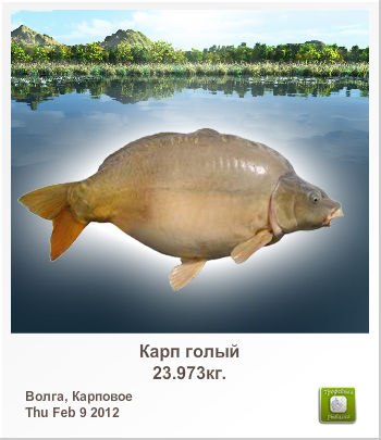 Дмитрий Воробьев | Тверь