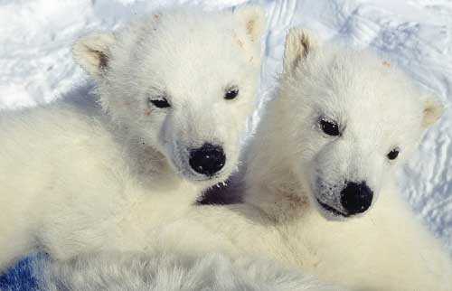 №154, Віталій Марціновський, 30 лет №154, Віталій Марціновський, 30 лет