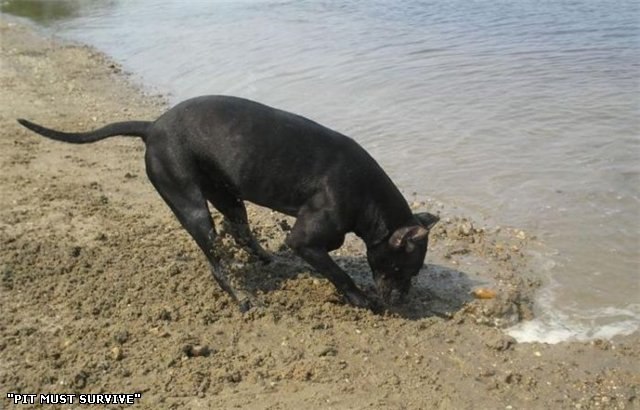 Тоха Рачков | Новочеркасск