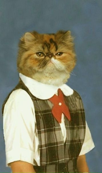 №170, Оксана Баранова, 37 лет, Самара №170, Оксана Баранова, 37 лет, Самара