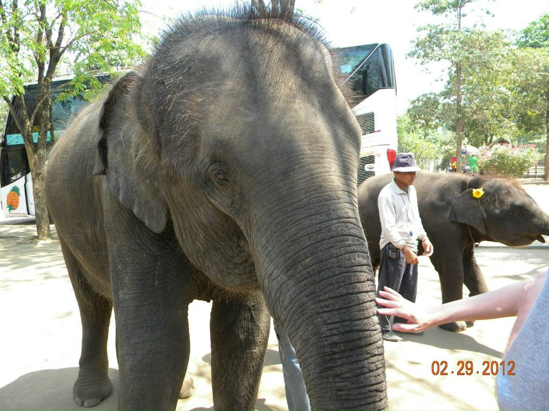 Юрий Кукуету Иванович | Пасечная