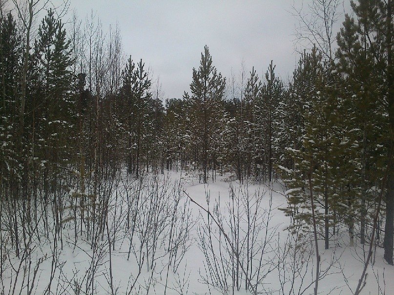 Александр Бугуртов | Стрежевой