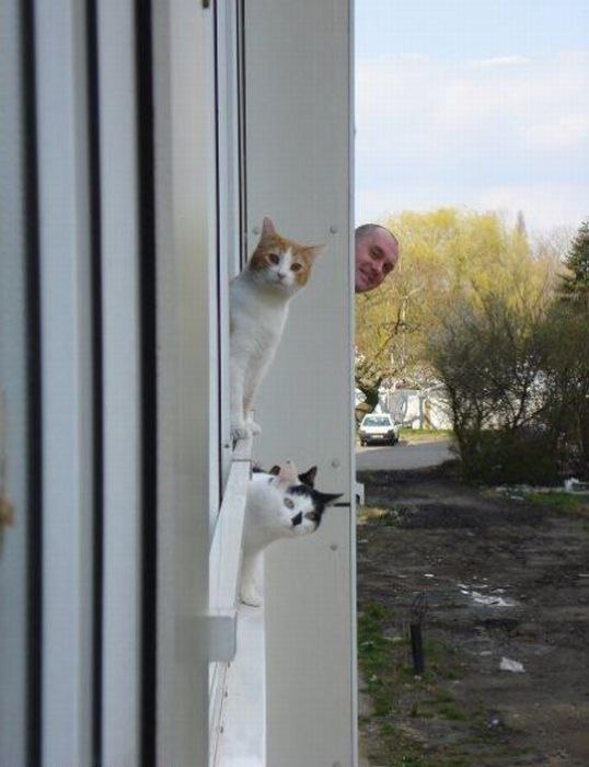 Виктор Степанов | Санкт-Петербург