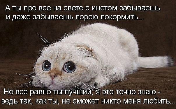 Kristinka Savlepova ツVyacheslavovna | Киев