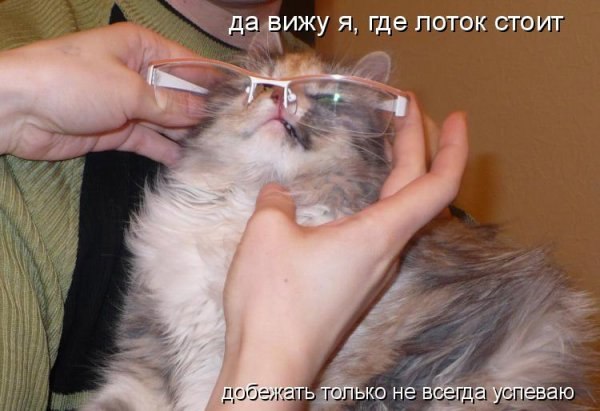 Елена Иванова | Чебоксары