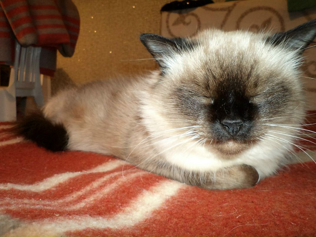 Таня Шарнина | Брест