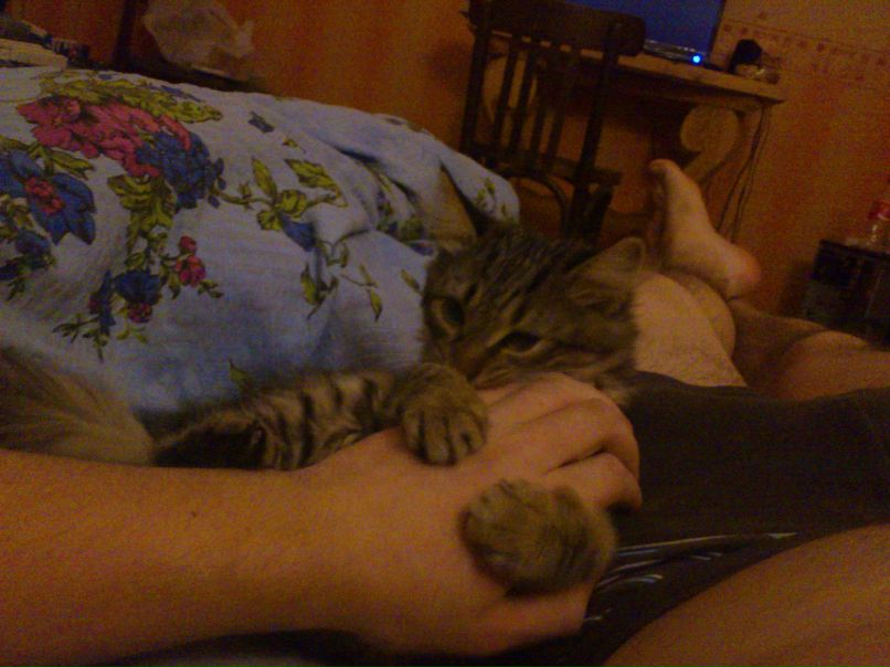 Blur Frontier Hostile | Berlin