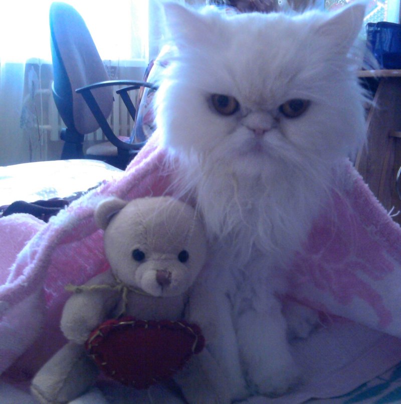 Инна Ежова | Москва