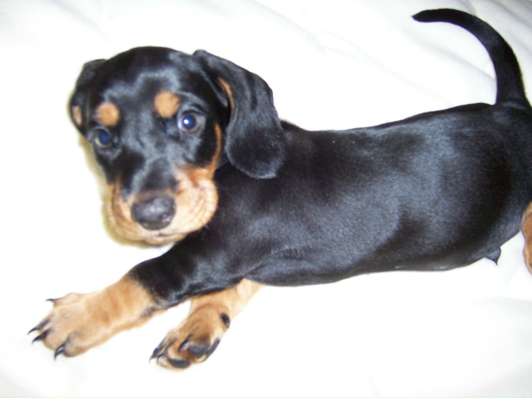 Сергей Николаевич | Одесса