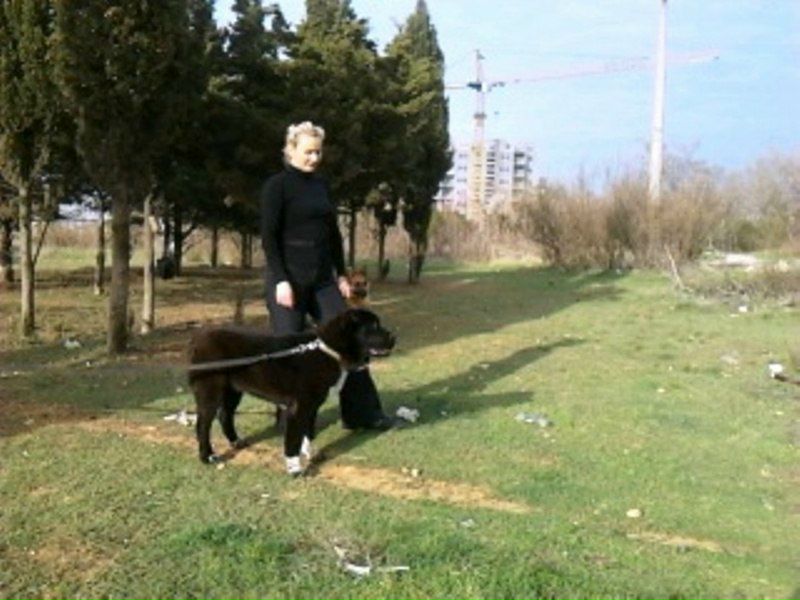 №83, Руслан Гордеев, Львов №83, Руслан Гордеев, Львов