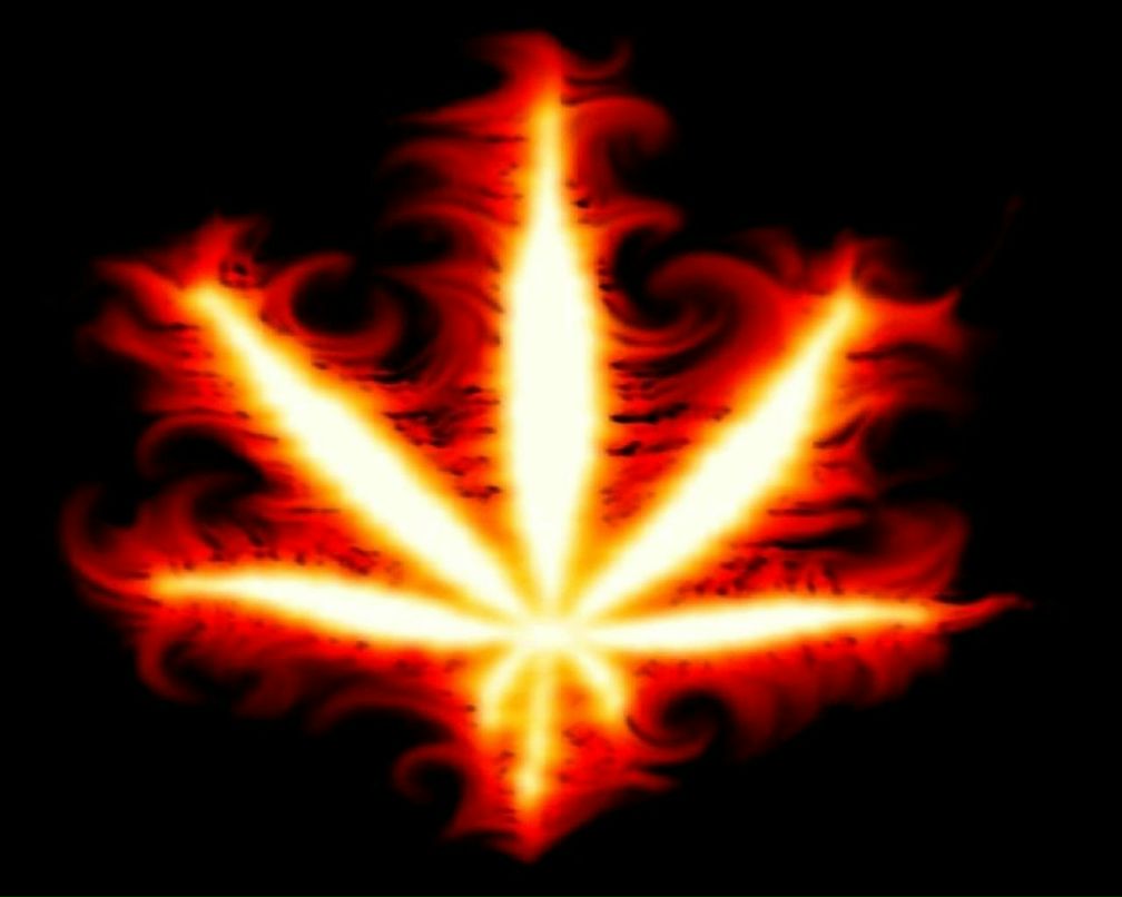 Алексей Бородин | Москва