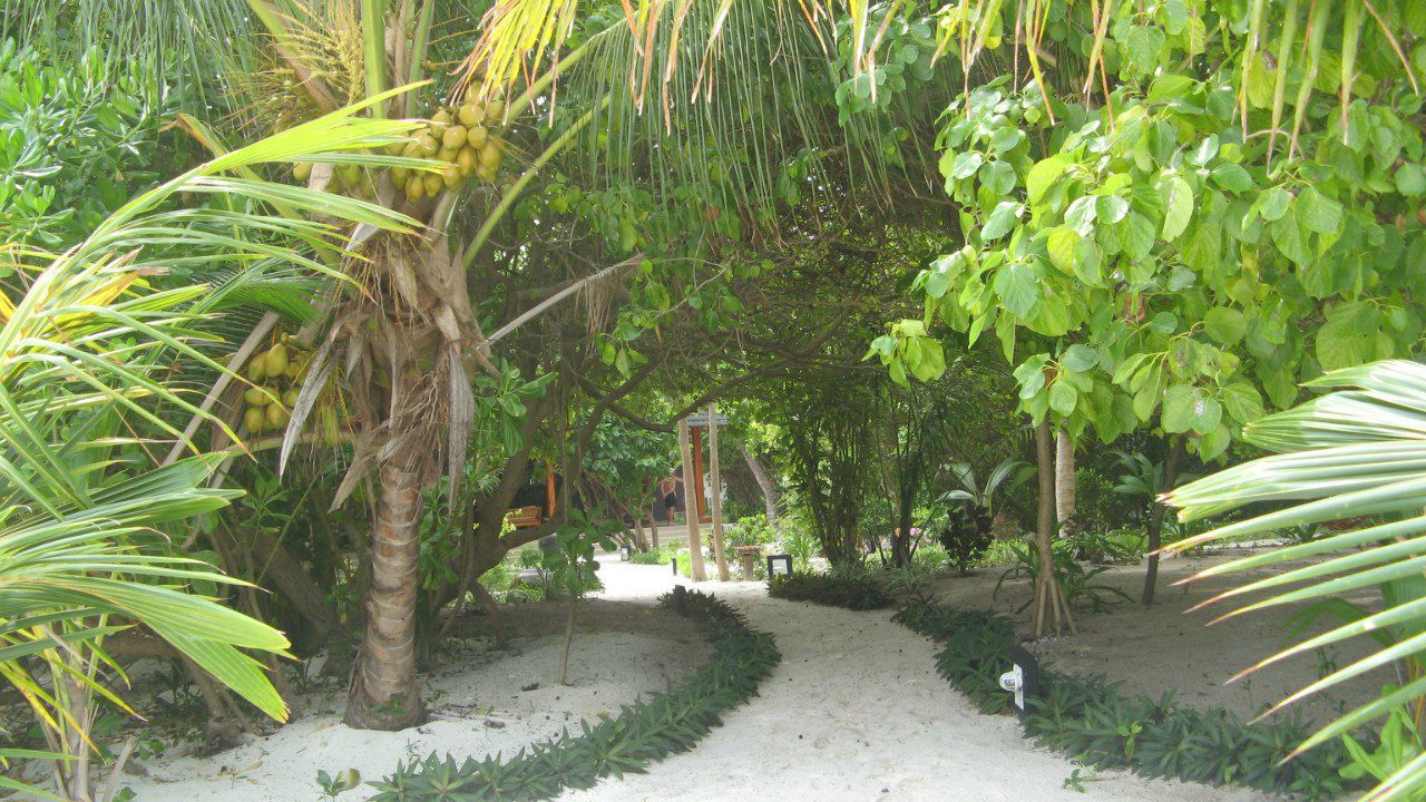 Алина Будекова | Санкт-Петербург