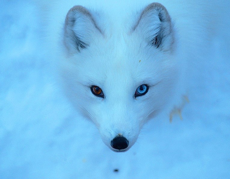 Дмитрий Терентьев San-Trope | Балашиха
