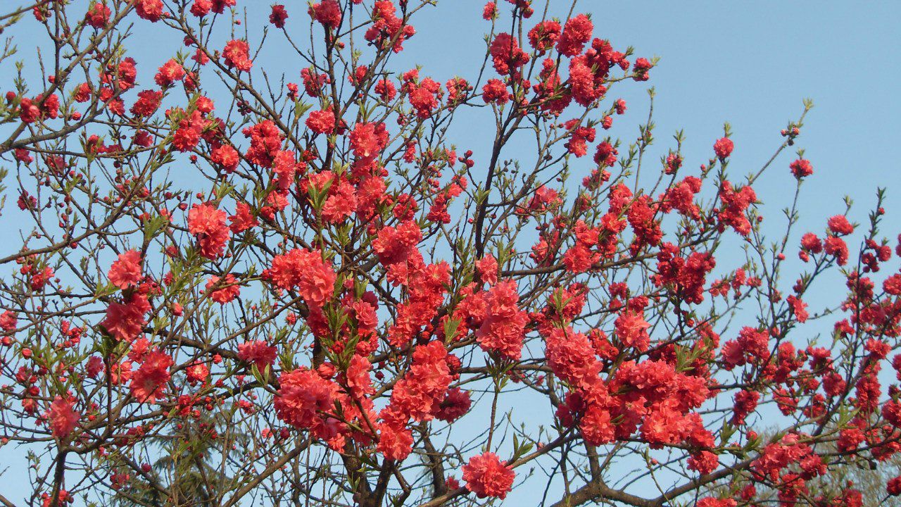Максим Пузиков | Комсомольск-на-Амуре