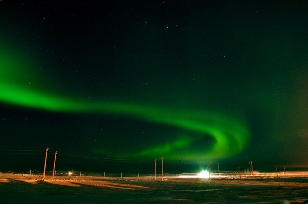 Василий Стариков | Санкт-Петербург