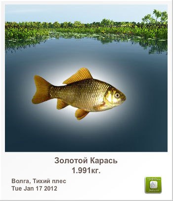 Сергей Задоя | Днепр (Днепропетровск)