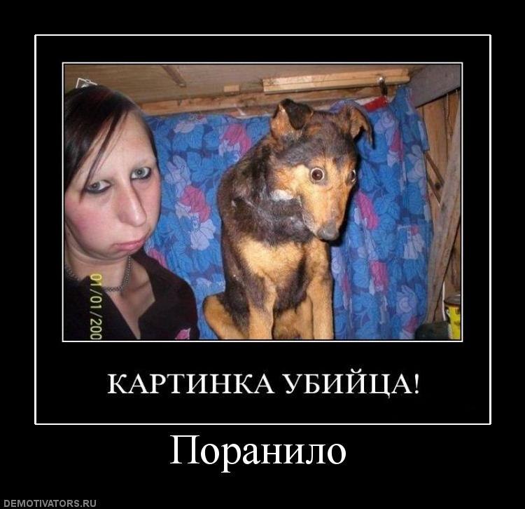 Геннадий Стецюк Aziris | 