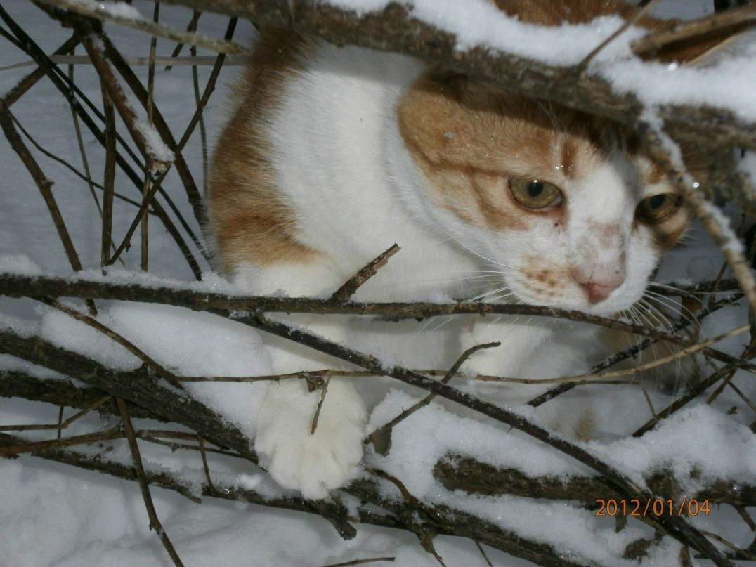 Алёнка Майкова ♥♥♥♥ | Санкт-Петербург