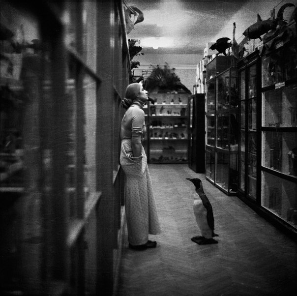 Katya Ustinova | Севастополь