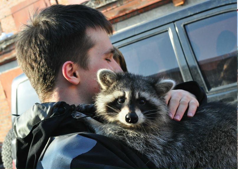 Андрей Потапенко A.I. | Харьков