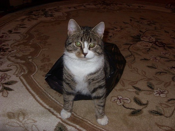 Irina Nefedova | Боровичи