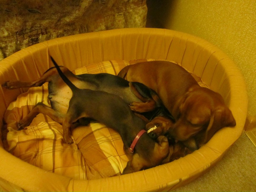 Александр Сухов | Москва