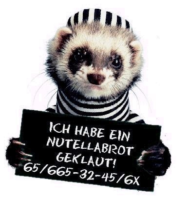 Лёха Шешолин | Челны