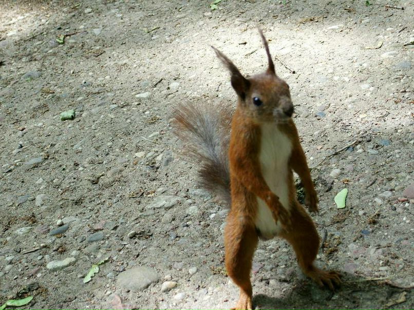 Дмитрий Сипулин | Снежинск