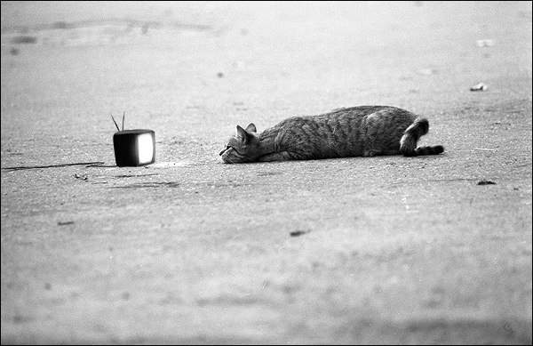 Саша Вервейко | Medellín