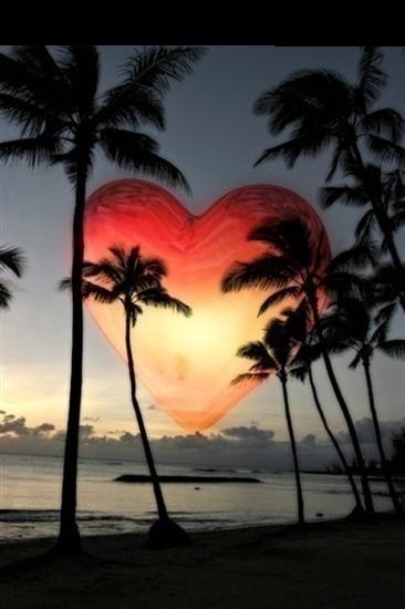 Катюша Попович | Харьков