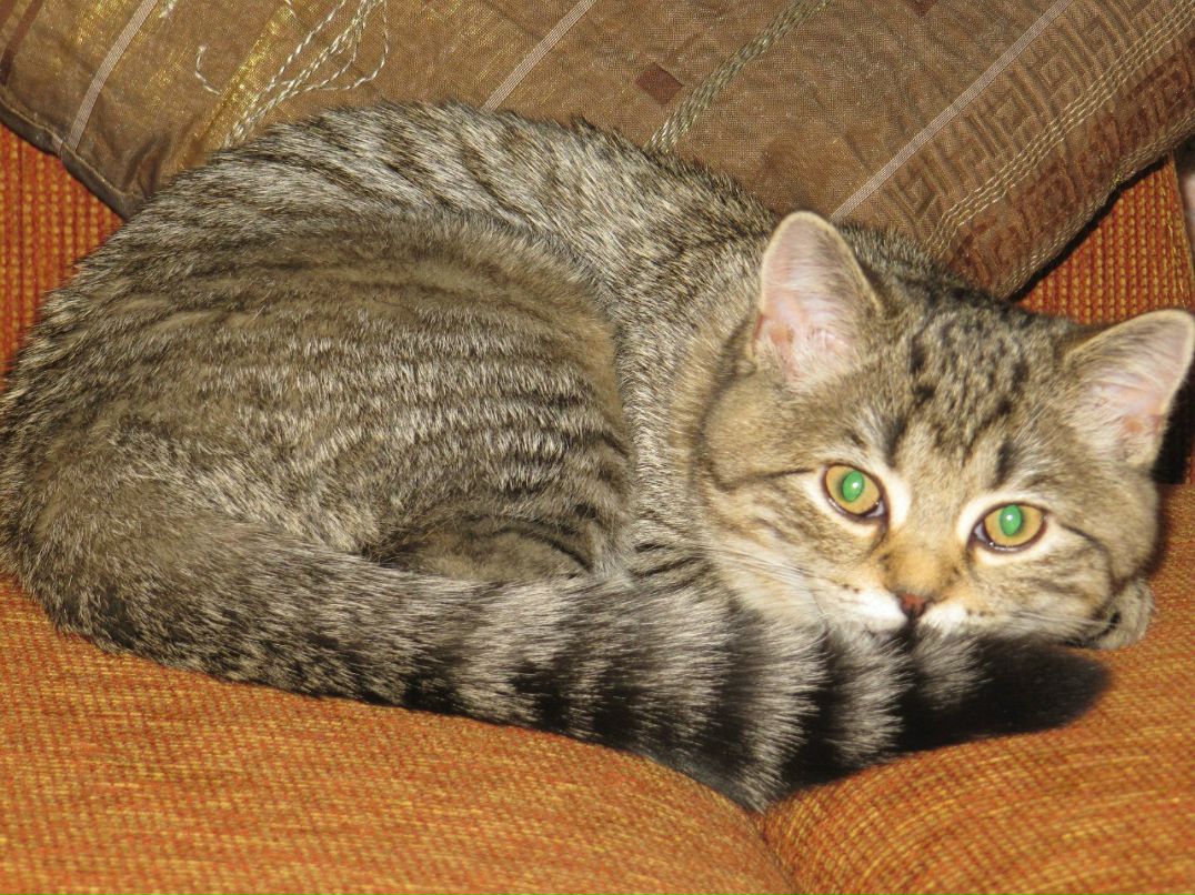 Вероника Губанова | Новокузнецк