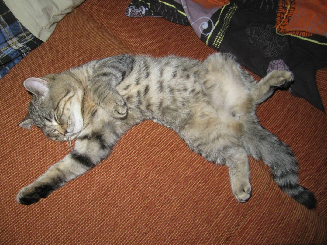 Вероника Губанова | Новокузнецк