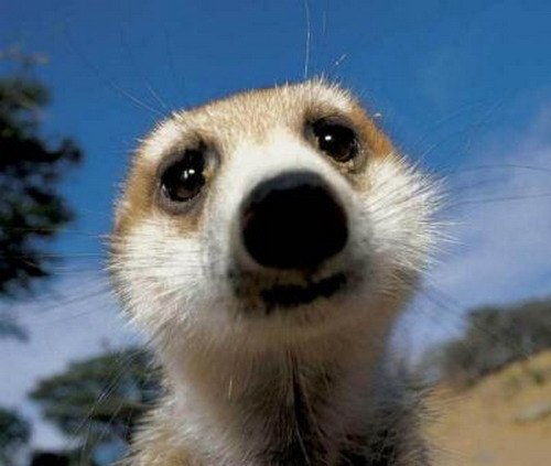 Александр Лозняк | Мариуполь