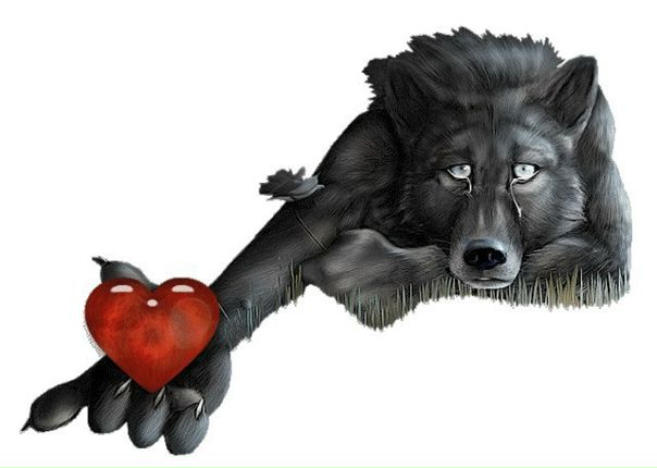 №70, Олексій Штинда №70, Олексій Штинда