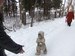 Вадим Темников фотография #50