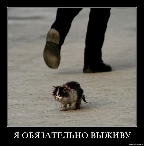 Алексей Голынец [MAD] | Нижний Новгород