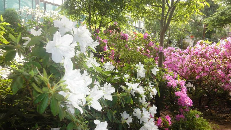 Юля Машкова | Волжский