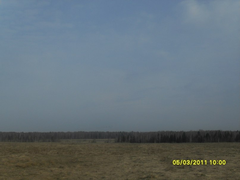 Николай Васин | Пошехонье