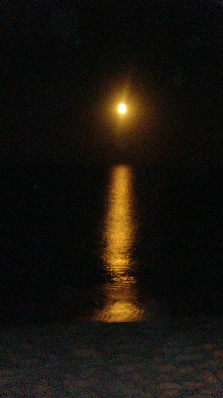 Настя Поликарпова | Москва