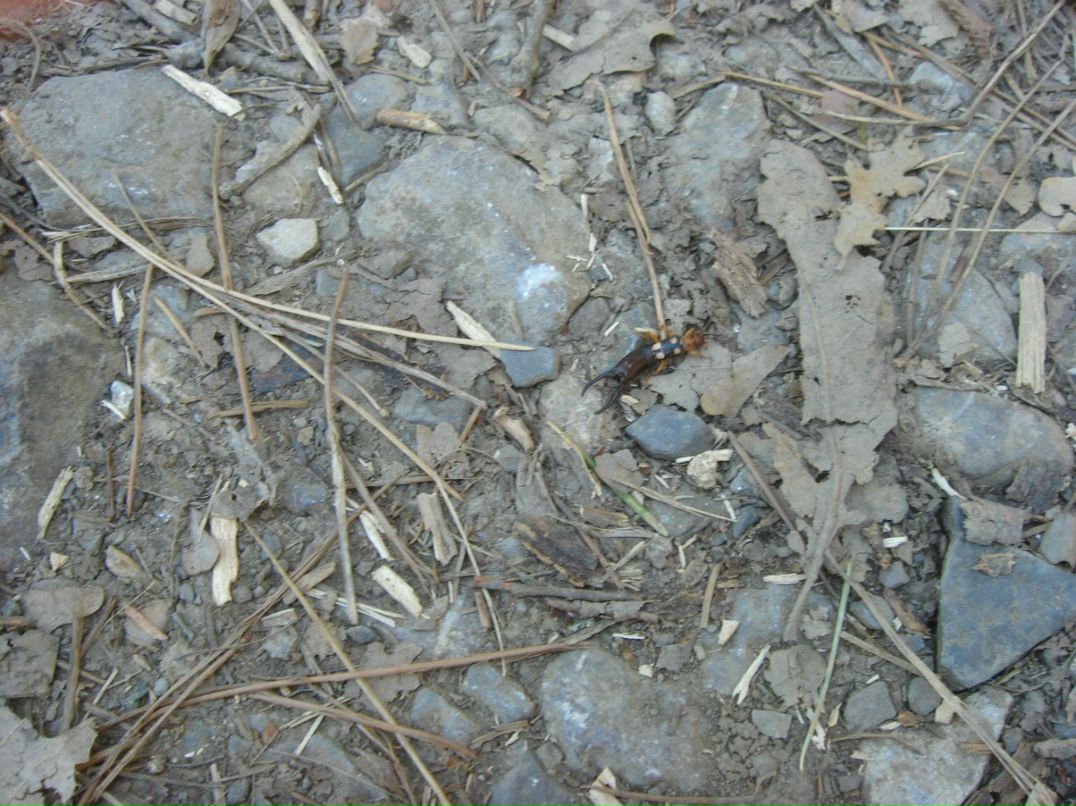 Владимир Ковдя | Ялта