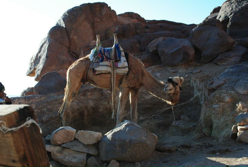 Юлия Тарасова | Раменское