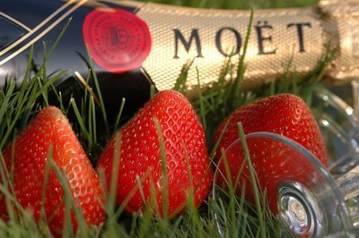 Юлия Андроник | Одесса