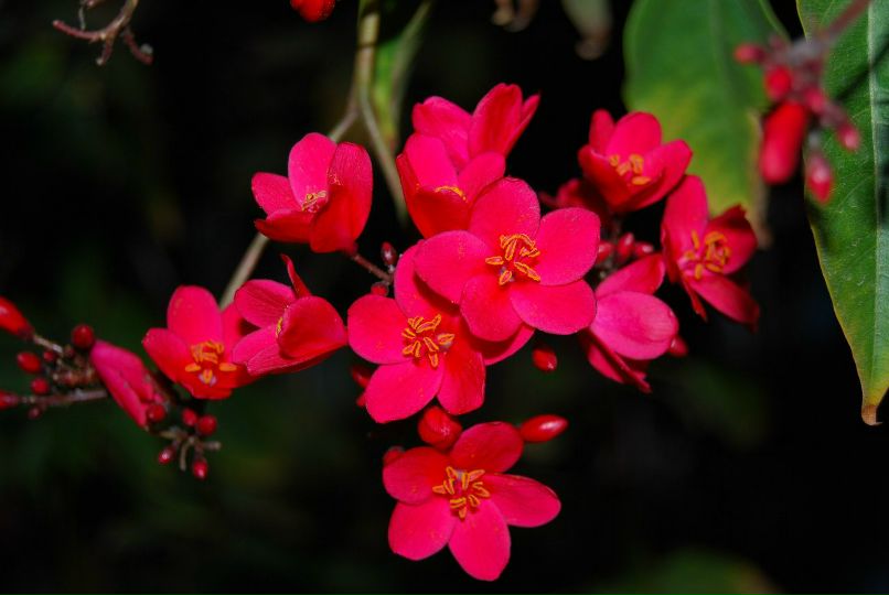 Игорь Новиков | Киев