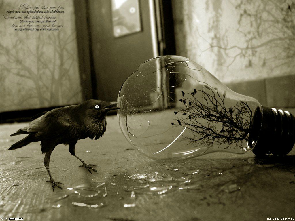 Олеся Золотцева | Пенза