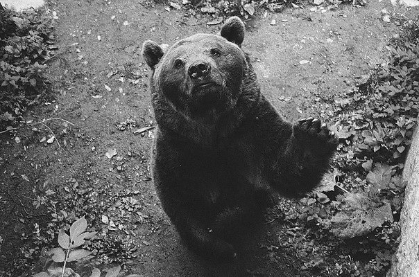 Серёга Ковальчук | Бердичев