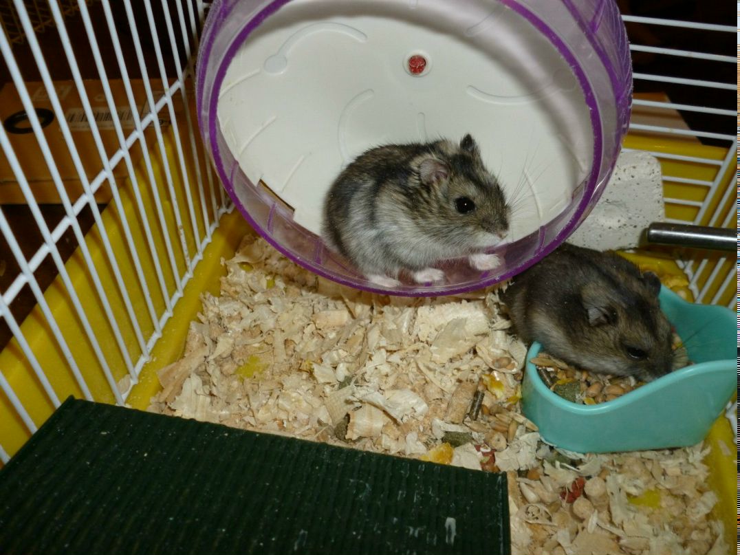 Вероничка Анисковец | Москва