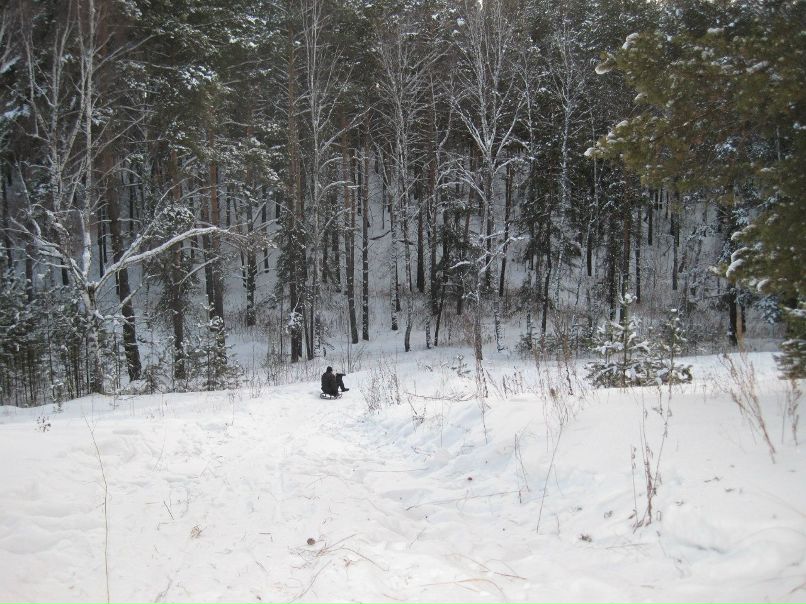 Наталья Илющенко | Барнаул