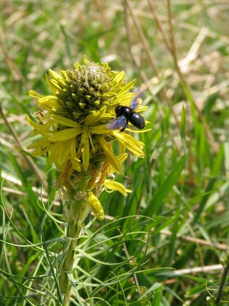 №58, Ольга Миусова, Херсон №58, Ольга Миусова, Херсон